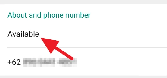 Status Offline WhatsApp