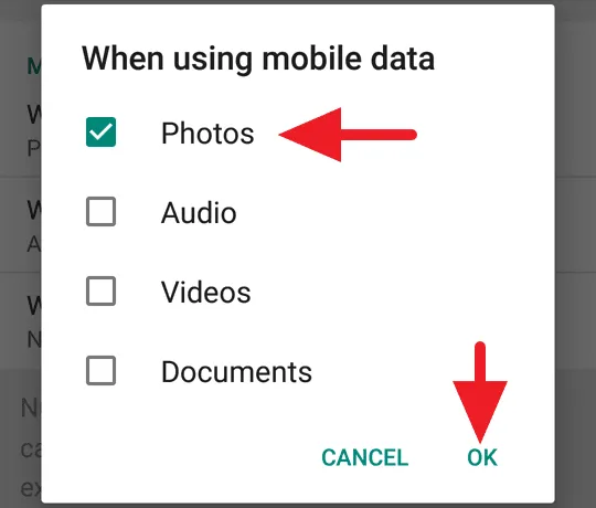 WhatsApp Download Foto Otomatis