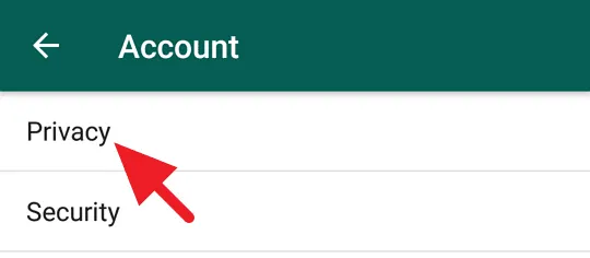 WhatsApp Terlihat Offline