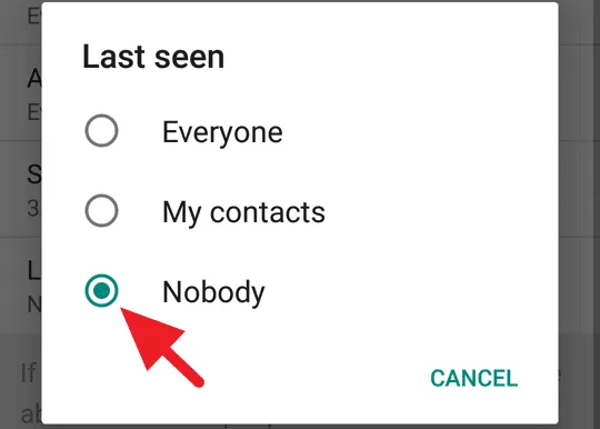 WhatsApp Terlihat Offline
