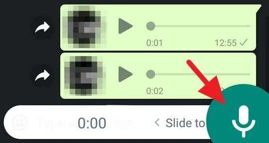 WhatsApp Tanpa Mengetik