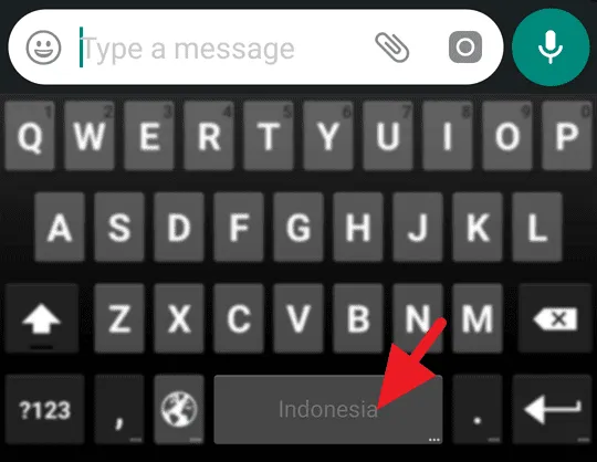 WhatsApp Tanpa Mengetik