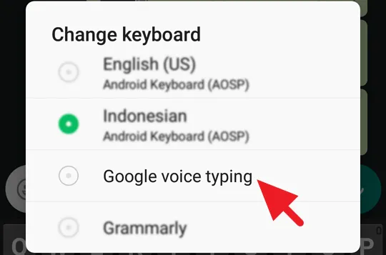 WhatsApp Tanpa Mengetik