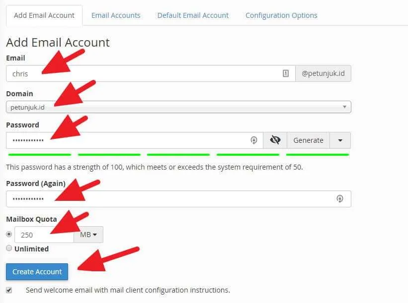membuat email cpanel 3 Cara Membuat Email Gratis dengan Domain Sendiri di cPanel 5 membuat email cpanel 3