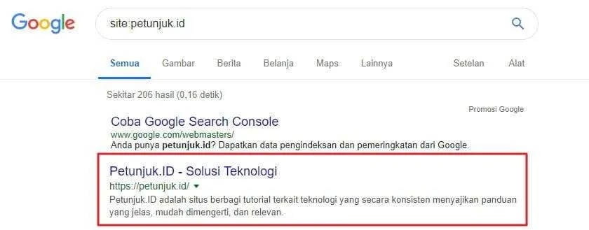 Terindeks di Google