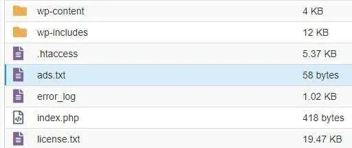 Cara Membuat File Ads.txt untuk Adsense di Wordpress 11 membuat ads.txt di WordPress
