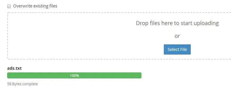 Cara Membuat File Ads.txt untuk Adsense di Wordpress 9 membuat ads.txt di WordPress