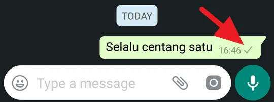 5 Cara Mengetahui Kamu Diblokir Seseorang di WhatsApp 4 cara mengetahui wa diblokir, whatsapp diblokir, ciri wa sedang diblokir, arti centang satu whatsapp