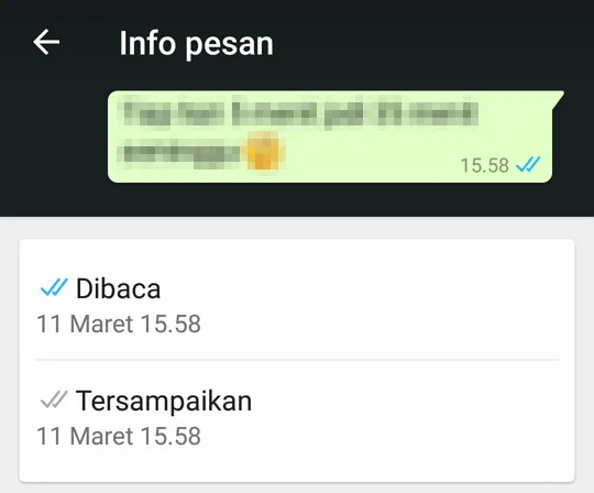 Info Pesan Kapan Dibaca WhatsApp