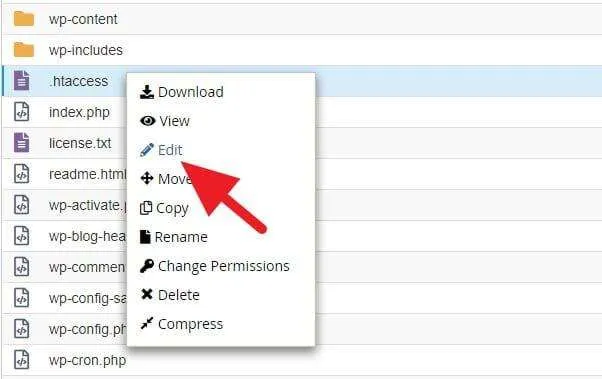 Postingan WordPress Redirect Homepage