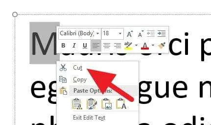 2 Cara Mudah Membuat Drop Cap di PowerPoint 11 Drop Cap PowerPoint 9 2 Cara Mudah Membuat Drop Cap di PowerPoint 11 Drop Cap PowerPoint 9