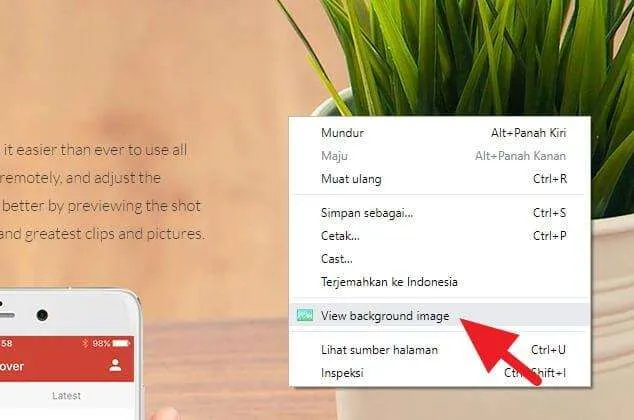 Cara Download Gambar Background Website yang Tidak Bisa Didownload 4 Gambar Background Website 2 Cara Download Gambar Background Website yang Tidak Bisa Didownload 4 Gambar Background Website 2