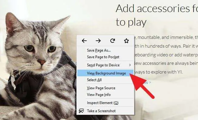 Cara Download Gambar Background Website yang Tidak Bisa Didownload 7 Gambar Background Website 5 Cara Download Gambar Background Website yang Tidak Bisa Didownload 7 Gambar Background Website 5