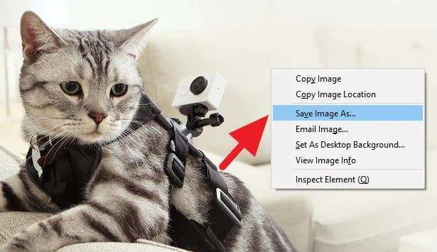 Cara Download Gambar Background Website yang Tidak Bisa Didownload 8 Gambar Background Website 6 Cara Download Gambar Background Website yang Tidak Bisa Didownload 8 Gambar Background Website 6