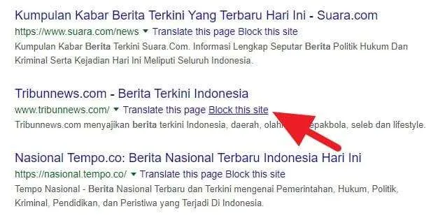 3 Cara Blokir Situs Tertentu dari Hasil Pencarian Google 7 Blokir Website Tertentu Google 4 3 Cara Blokir Situs Tertentu dari Hasil Pencarian Google 5 Blokir Website Tertentu Google 4