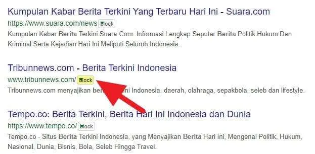 3 Cara Blokir Situs Tertentu dari Hasil Pencarian Google 14 Memblokir Website Hasil Pencarian Google 5 3 Cara Blokir Situs Tertentu dari Hasil Pencarian Google 12 Memblokir Website Hasil Pencarian Google 5