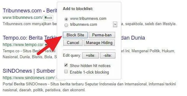 3 Cara Blokir Situs Tertentu dari Hasil Pencarian Google 15 Memblokir Website Hasil Pencarian Google 6 3 Cara Blokir Situs Tertentu dari Hasil Pencarian Google 13 Memblokir Website Hasil Pencarian Google 6