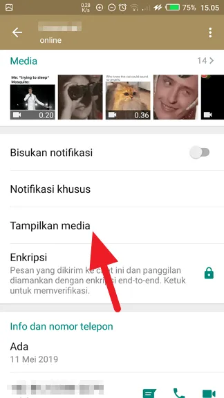 Cara Sembunyikan Foto/Video WhatsApp dari Galeri Ponsel 8 Tampilkan media kontak Cara Sembunyikan Foto/Video WhatsApp dari Galeri Ponsel 8 Tampilkan media kontak