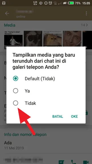 Cara Sembunyikan Foto/Video WhatsApp dari Galeri Ponsel 9 Tidak Cara Sembunyikan Foto/Video WhatsApp dari Galeri Ponsel 9 Tidak