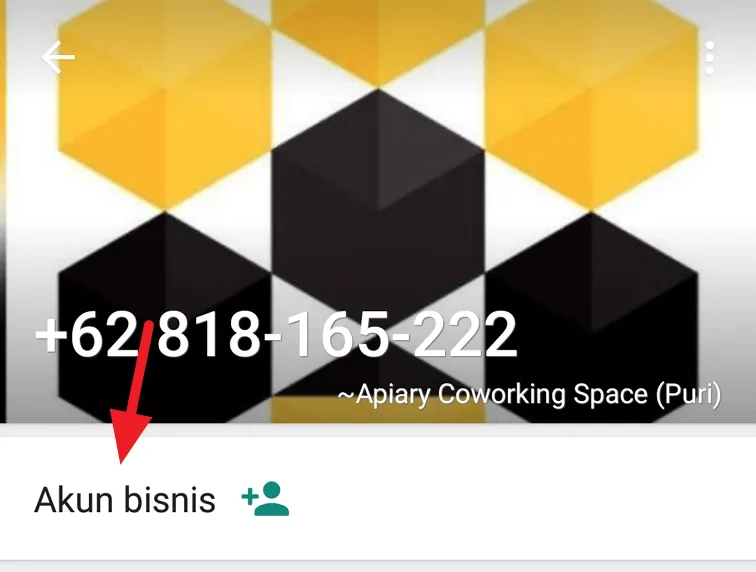 3 Cara Mengetahui Kontak WhatsApp Adalah Akun Bisnis 4 Akun bisnis 3 Cara Mengetahui Kontak WhatsApp Adalah Akun Bisnis 4 Akun bisnis