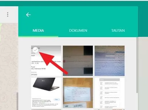 Cara Download Banyak Foto Sekaligus di WhatsApp Web 6 centang Cara Download Banyak Foto Sekaligus di WhatsApp Web 6 centang