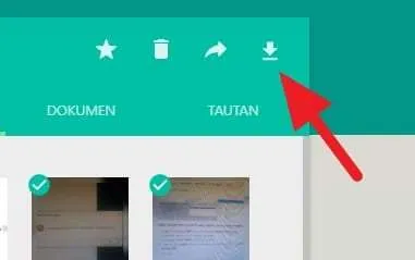 Cara Download Banyak Foto Sekaligus di WhatsApp Web 8 ikon download Cara Download Banyak Foto Sekaligus di WhatsApp Web 8 ikon download