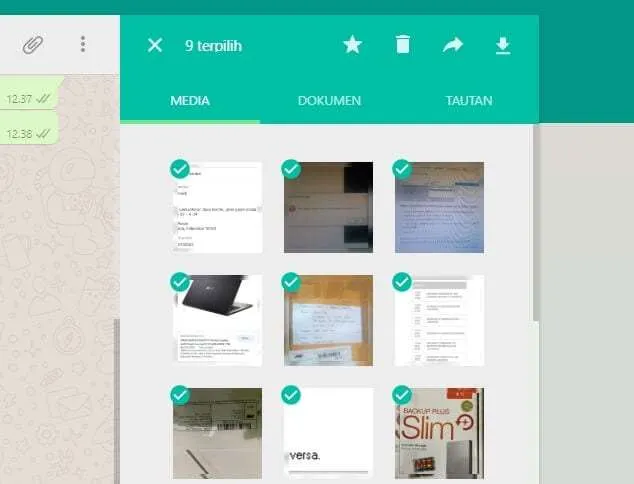 Cara Download Banyak Foto Sekaligus di WhatsApp Web 7 pilih gambar Cara Download Banyak Foto Sekaligus di WhatsApp Web 7 pilih gambar