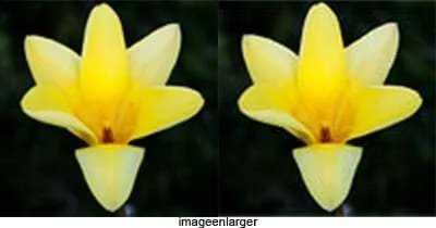 5 Situs Terbaik untuk Memperbesar Resolusi Foto Tanpa Pecah 7 imageenlarger 5 Situs Terbaik untuk Memperbesar Resolusi Foto Tanpa Pecah 7 imageenlarger