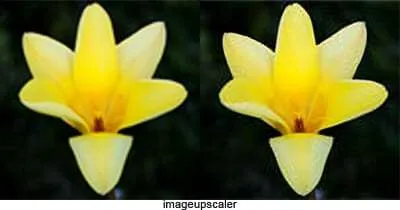 5 Situs Terbaik untuk Memperbesar Resolusi Foto Tanpa Pecah 6 imageupscaler 5 Situs Terbaik untuk Memperbesar Resolusi Foto Tanpa Pecah 6 imageupscaler