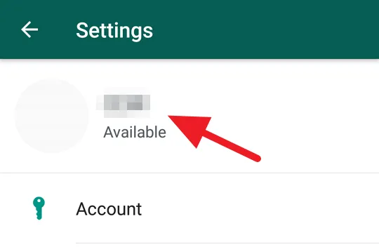 Cara Status Offline WhatsApp 1 3 Cara Membuat WhatsApp Terlihat Offline Padahal Sedang Online 3 Cara Status Offline WhatsApp 1