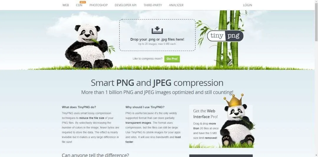 TinyPNG Cara Memperkecil Ukuran Foto Tanpa Mengurangi Kualitasnya 3 TinyPNG