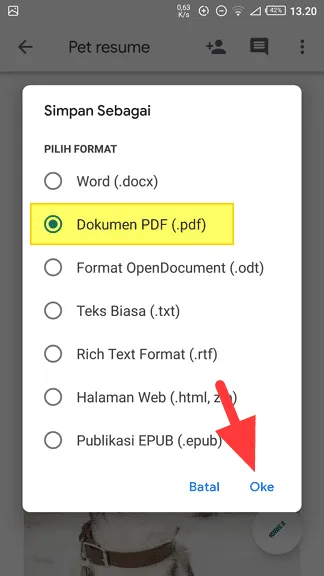 Dokumen PDF Cara Mengubah Word ke PDF di Android dengan Google Docs 13 Dokumen PDF