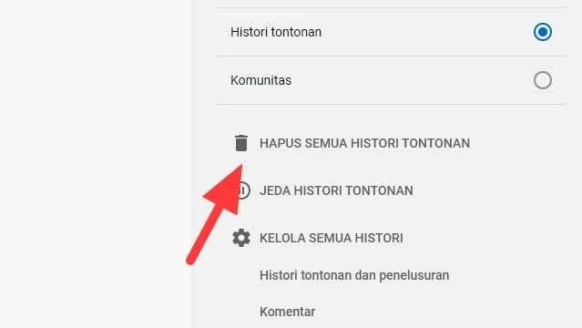 hapus semua histori tontonan Cara Menghapus Histori Tontonan di Youtube dengan Instan 11 hapus semua histori tontonan