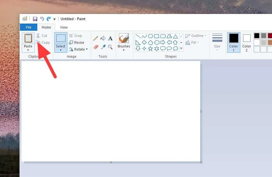 paste 1 3 Cara Melihat Hasil Screenshot di PC/Laptop Windows 5 paste 1
