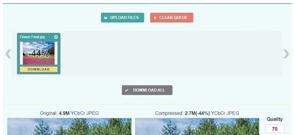 image compressor 5 Cara Kompres Ukuran Foto Online Dengan Kualitas Terbaik 5 image compressor