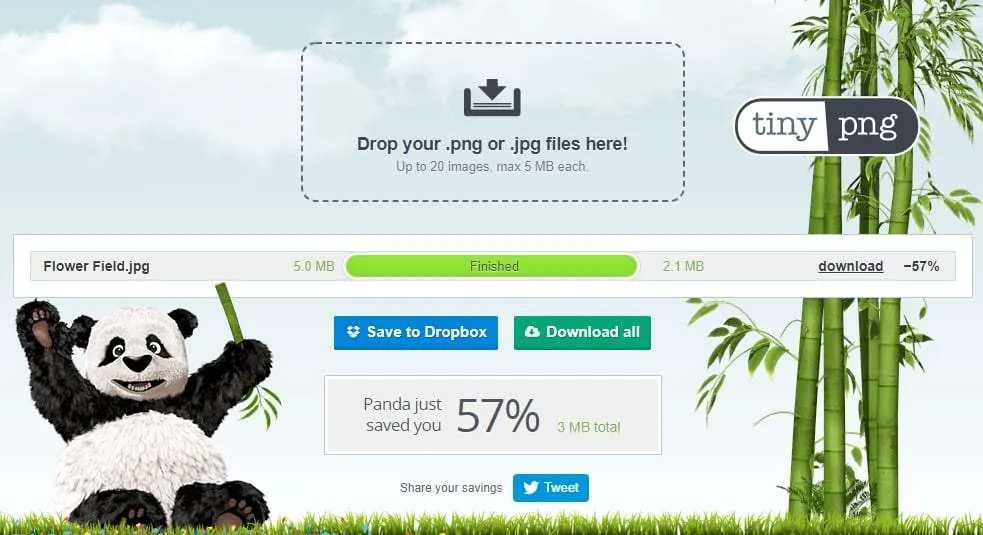 tinyjpg 5 Cara Kompres Ukuran Foto Online Dengan Kualitas Terbaik 3 tinyjpg