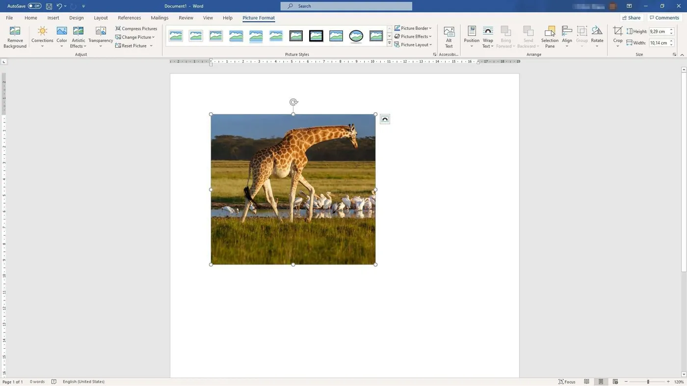 Cara Gampang Memotong/Crop Gambar di Microsoft Word 8 cropped picture microsoft word Cara Gampang Memotong/Crop Gambar di Microsoft Word 8 cropped picture microsoft word