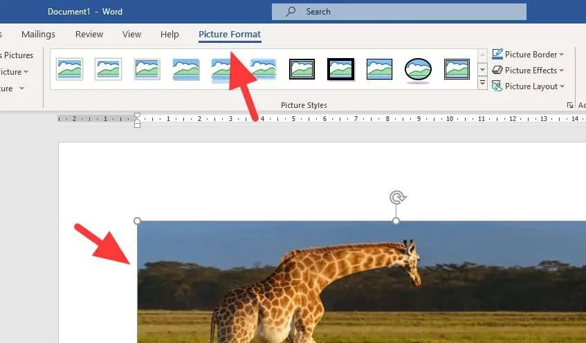 Cara Gampang Memotong/Crop Gambar di Microsoft Word 4 picture format 6 Cara Gampang Memotong/Crop Gambar di Microsoft Word 4 picture format 6