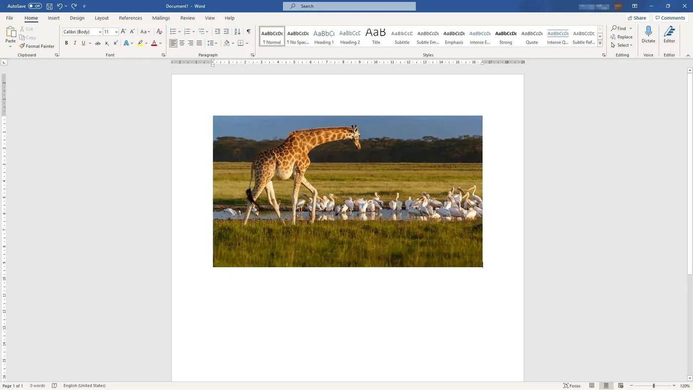 Cara Gampang Memotong/Crop Gambar di Microsoft Word 3 picture microsoft word Cara Gampang Memotong/Crop Gambar di Microsoft Word 3 picture microsoft word