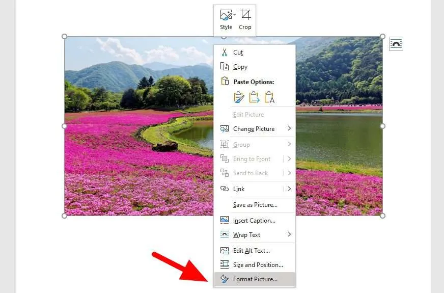 Cara Membuat Gambar Menjadi Transparan di Ms. Word 5 format picture 1 Cara Membuat Gambar Menjadi Transparan di Ms. Word 5 format picture 1
