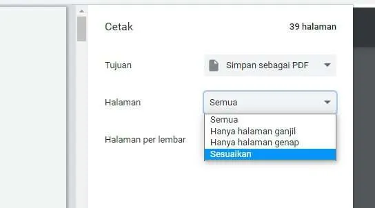 halaman sesuaikan Cara Menghapus Halaman PDF dengan Chrome PC/Laptop 6 halaman sesuaikan