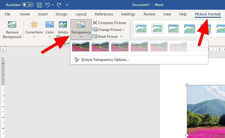 Cara Membuat Gambar Menjadi Transparan di Ms. Word 9 picture format transparency 1 Cara Membuat Gambar Menjadi Transparan di Ms. Word 9 picture format transparency 1