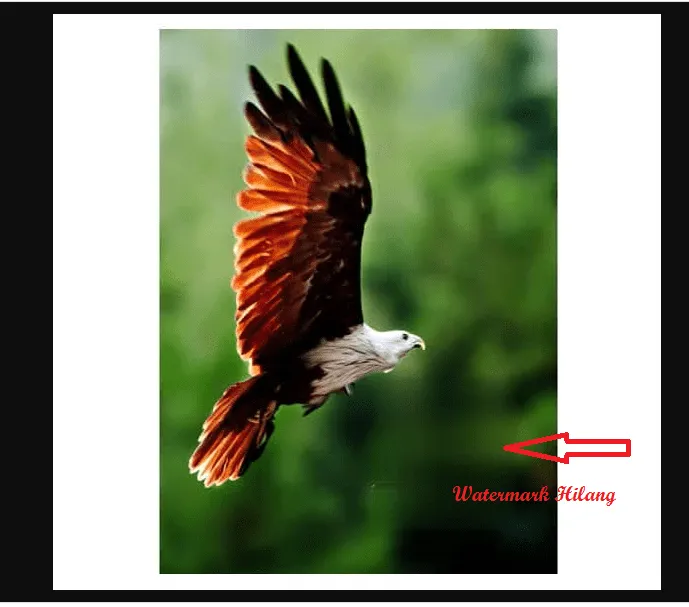 3 Cara Menghapus Watermark Pada Foto Secara Online 8 Cara menghapus watermark 17 1 3 Cara Menghapus Watermark Pada Foto Secara Online 6 Cara menghapus watermark 17 1