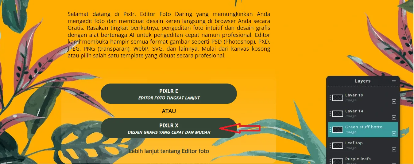 3 Cara Menghapus Watermark Pada Foto Secara Online 16 Cara menghapus watermark 8 3 Cara Menghapus Watermark Pada Foto Secara Online 14 Cara menghapus watermark 8