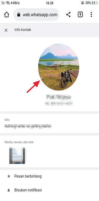 IMG 20220707 WA0008 2 Cara Simpan Foto Profil WhatsApp dengan Mudah 21 IMG 20220707 WA0008