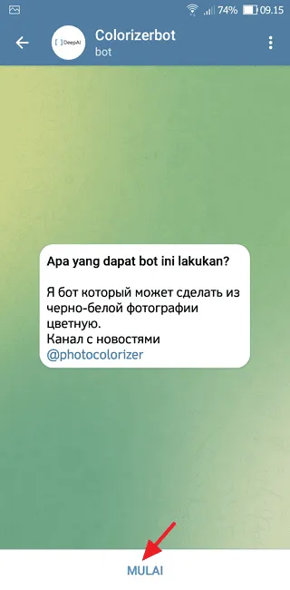 Screenshot 20220716 091519 Cara Ubah Foto Hitam Putih Menjadi Berwarna di Telegram 3 Screenshot 20220716 091519