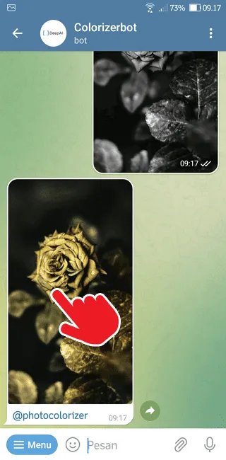 Screenshot 20220716 091726 Cara Ubah Foto Hitam Putih Menjadi Berwarna di Telegram 8 Screenshot 20220716 091726