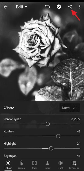 Screenshot 20220717 130828 Cara Edit Foto di Adobe Lightroom Mobile untuk Pemula 15 Screenshot 20220717 130828