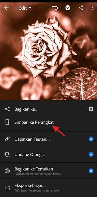 Screenshot 20220717 131221 Cara Edit Foto di Adobe Lightroom Mobile untuk Pemula 16 Screenshot 20220717 131221