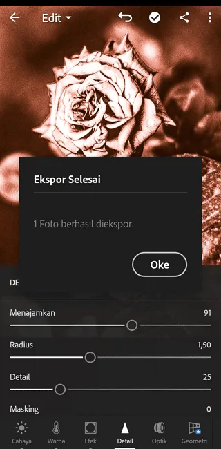 Screenshot 20220717 131241 Cara Edit Foto di Adobe Lightroom Mobile untuk Pemula 17 Screenshot 20220717 131241